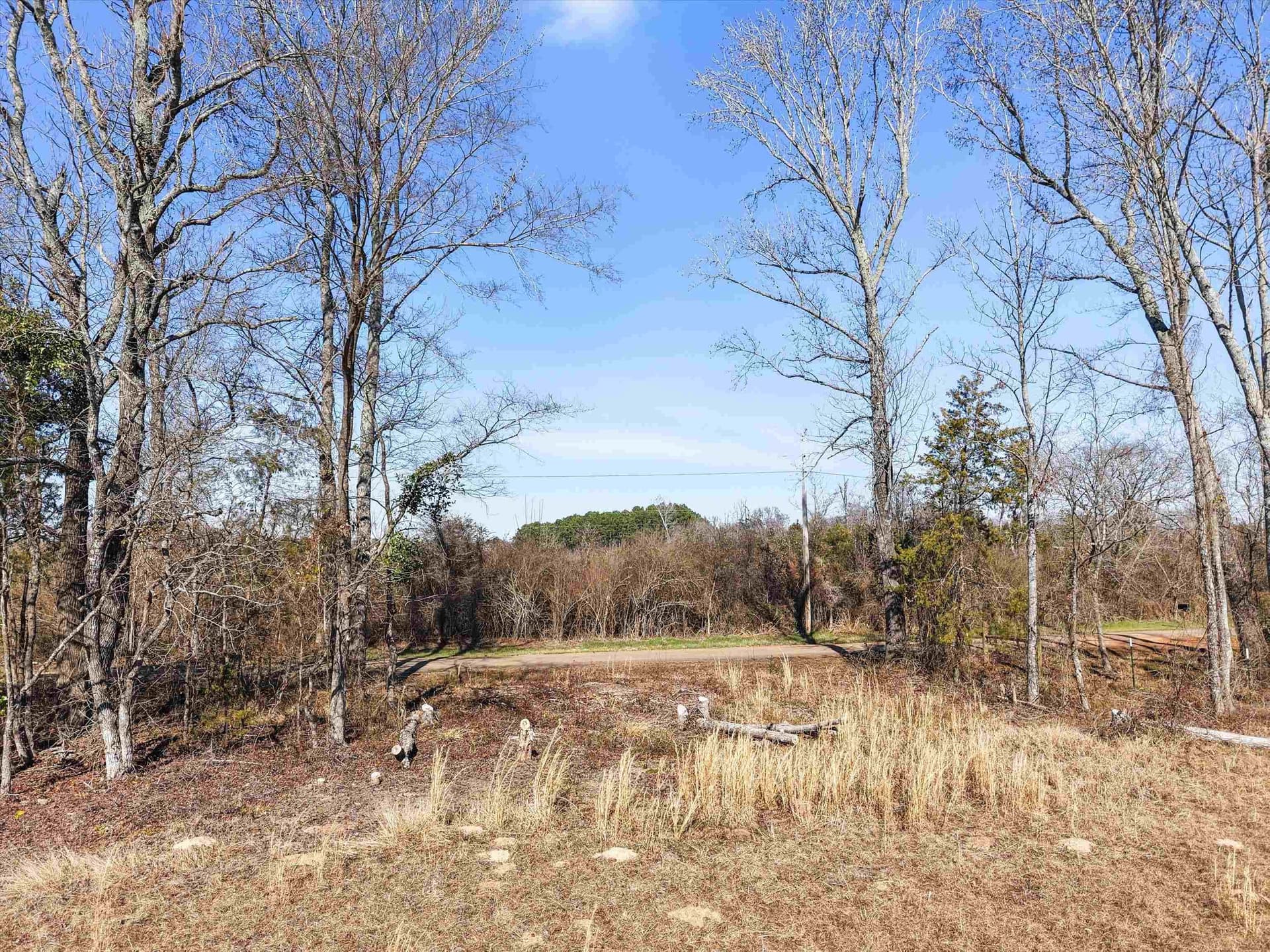 5 acres in Texas County - photo 8