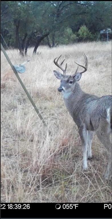 105.05 acres in Hood County - photo 34