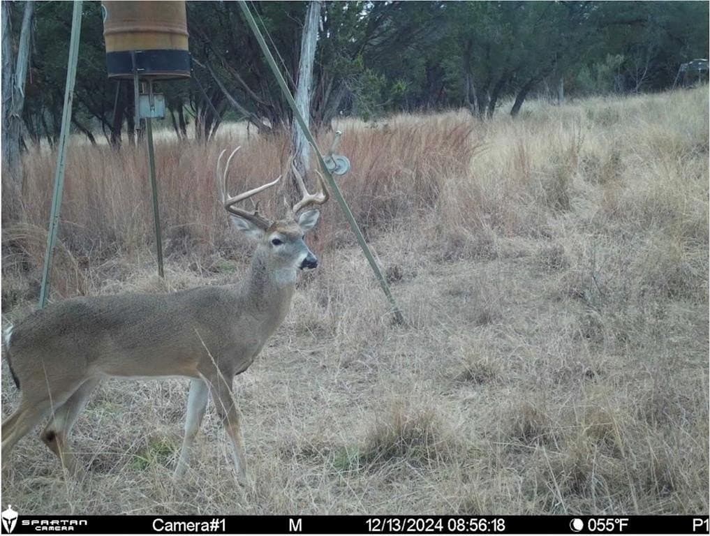 105.05 acres in Hood County - photo 21