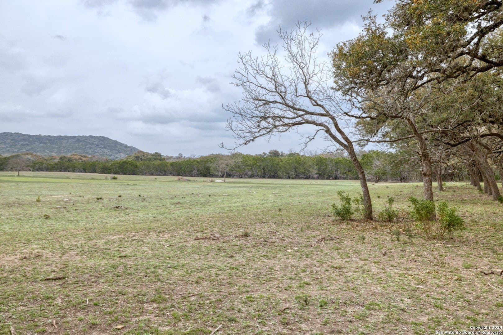 49.56 acres in Real County - photo 35