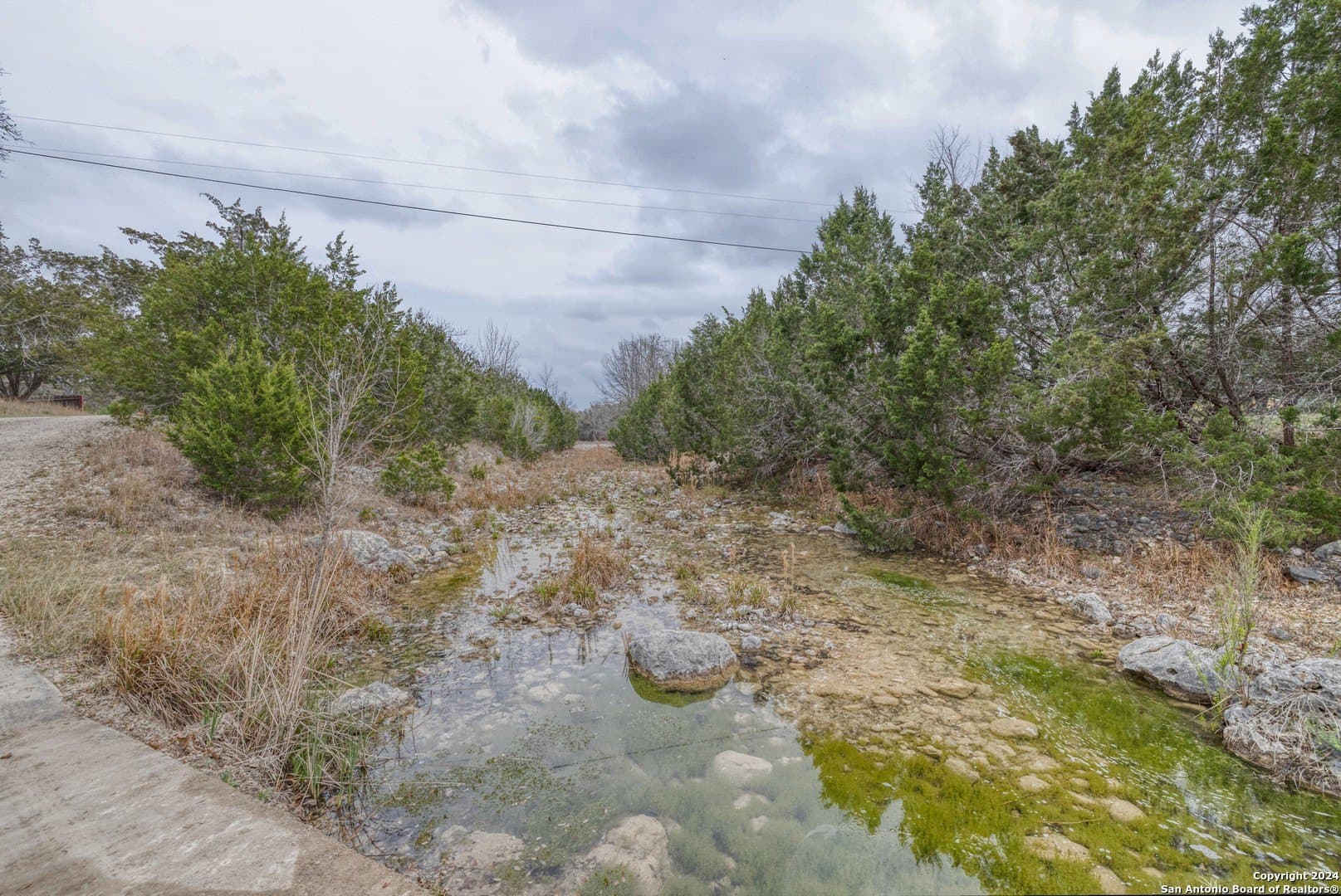 49.56 acres in Real County - photo 39