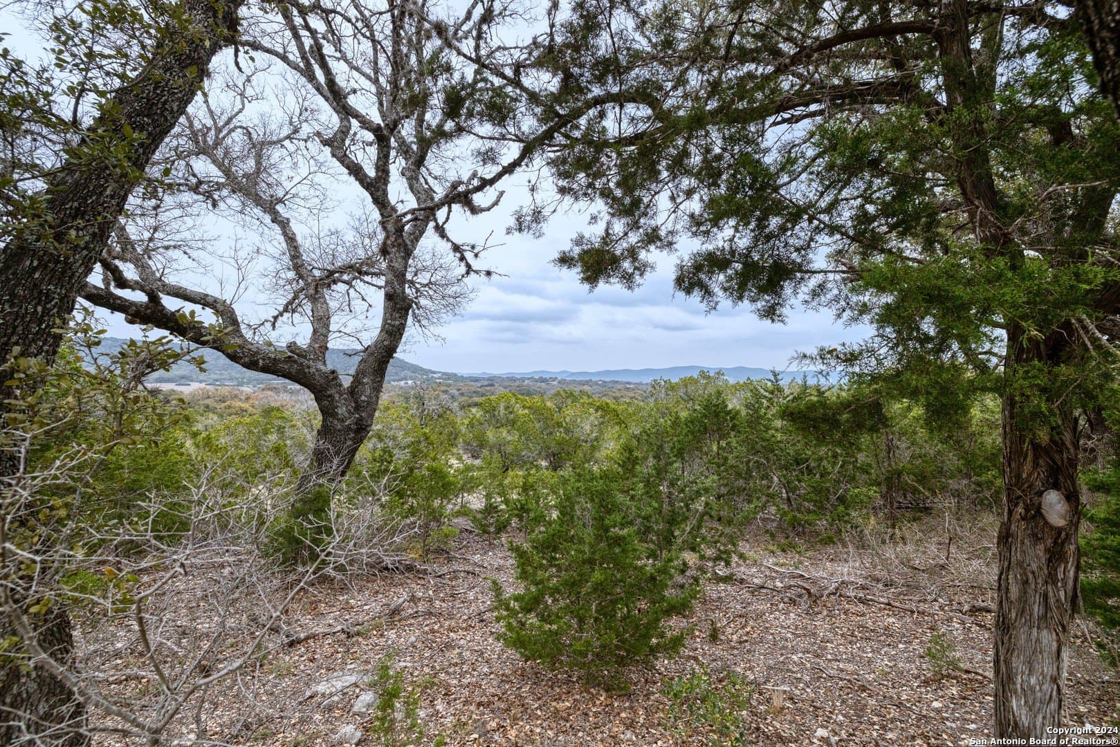 49.56 acres in Real County - photo 38