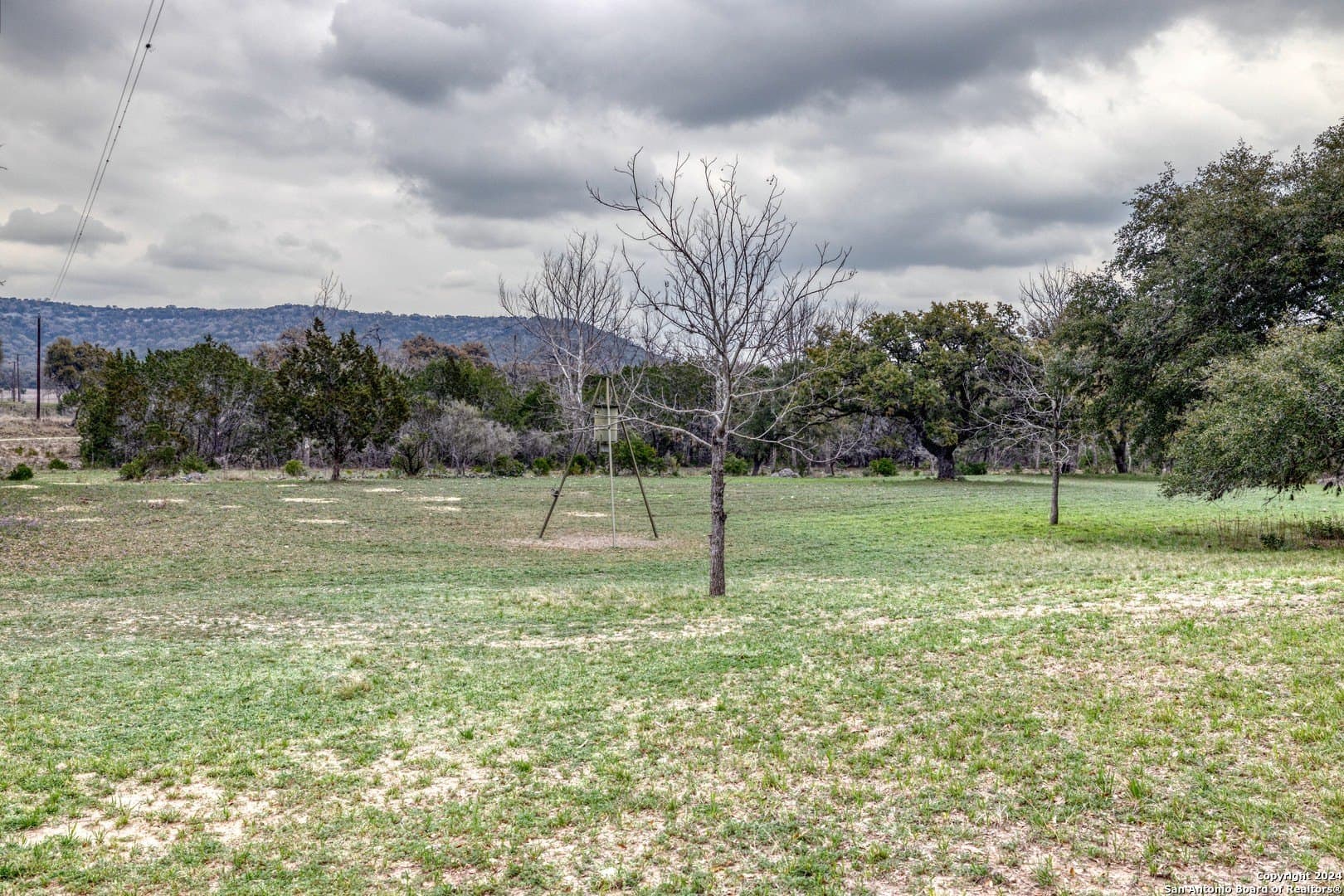 49.56 acres in Real County - photo 30