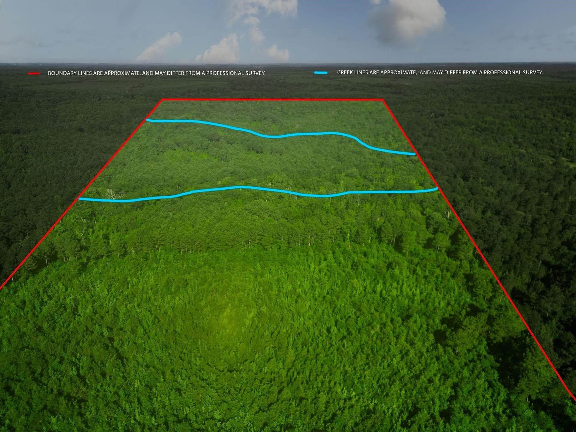 49.4 acres in Marion County - photo 13