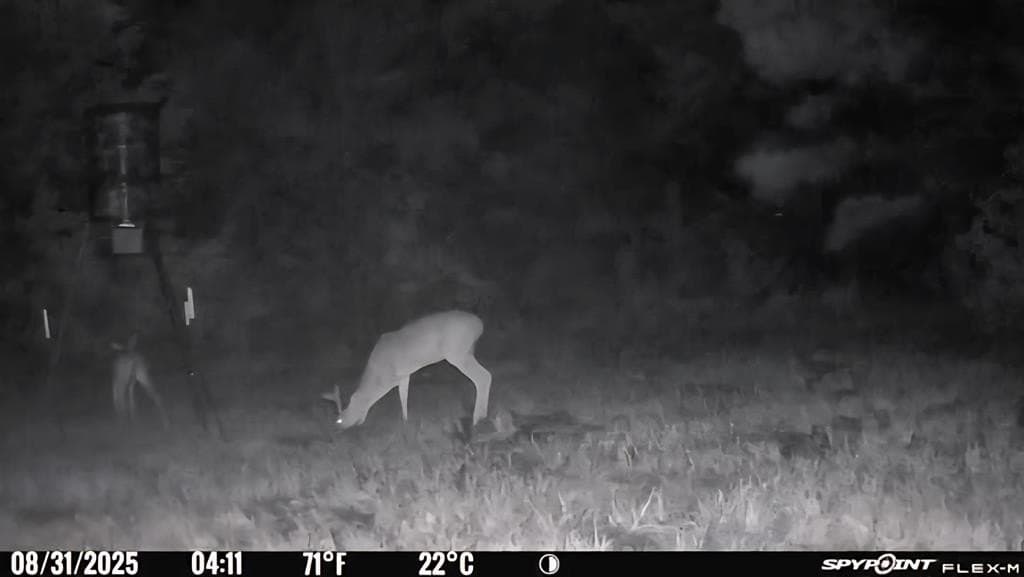26 acres in Texas County - photo 40