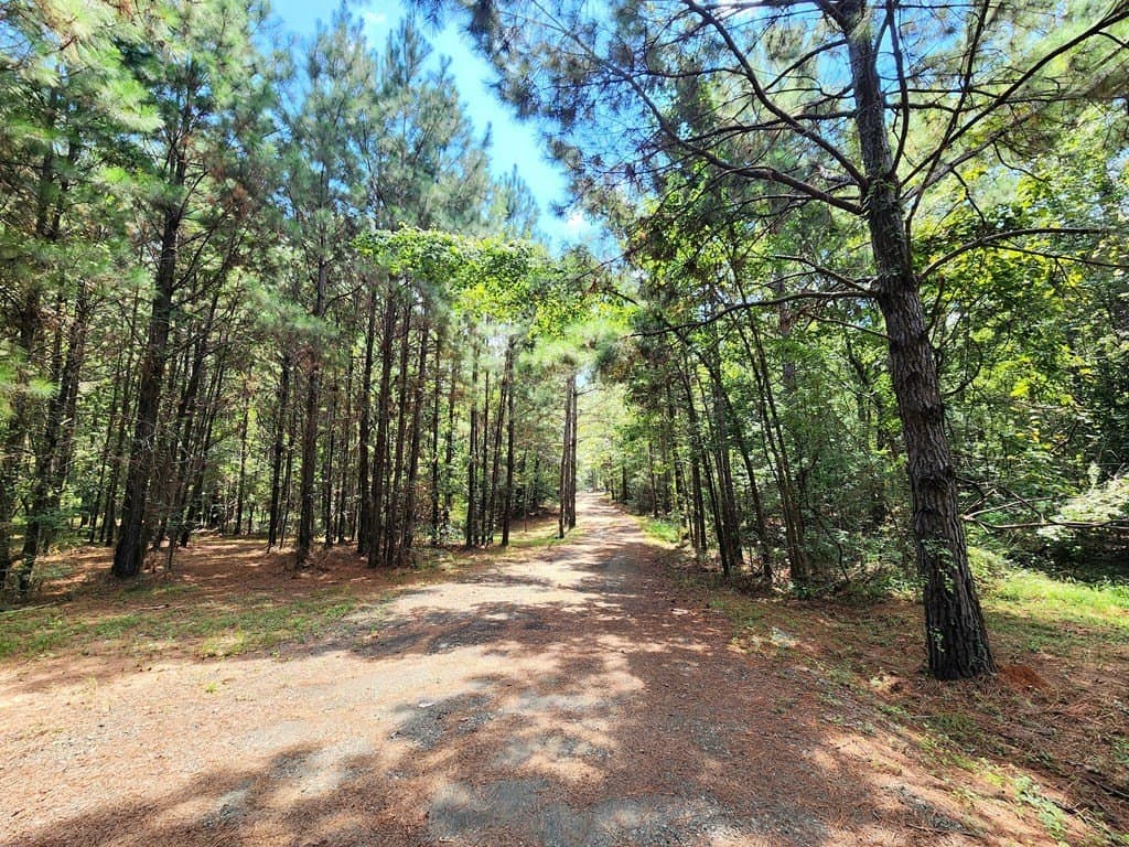 26 acres in Texas County - photo 37