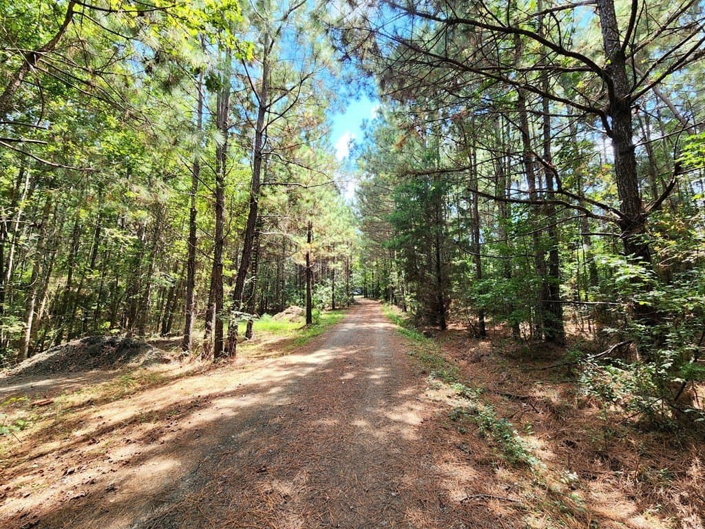 26 acres in Texas County - photo 2