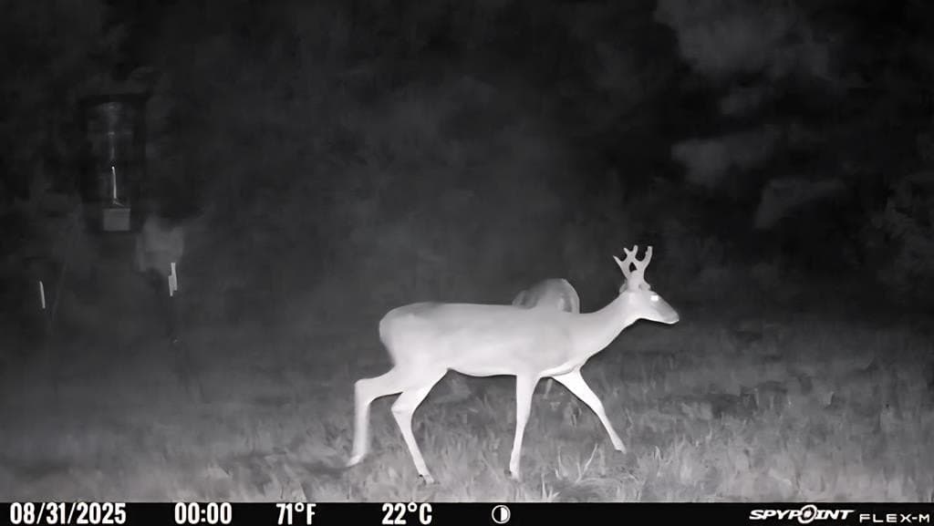 26 acres in Texas County - photo 42