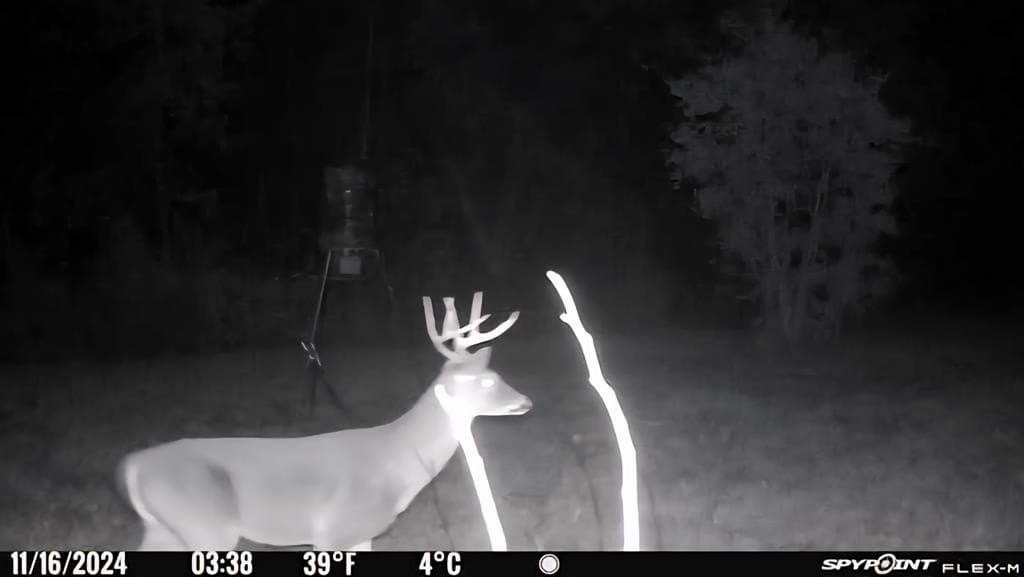 26 acres in Texas County - photo 43