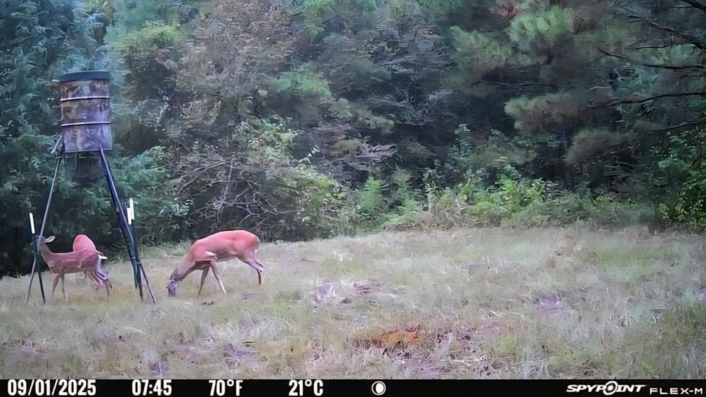 26 acres in Texas County - photo 39