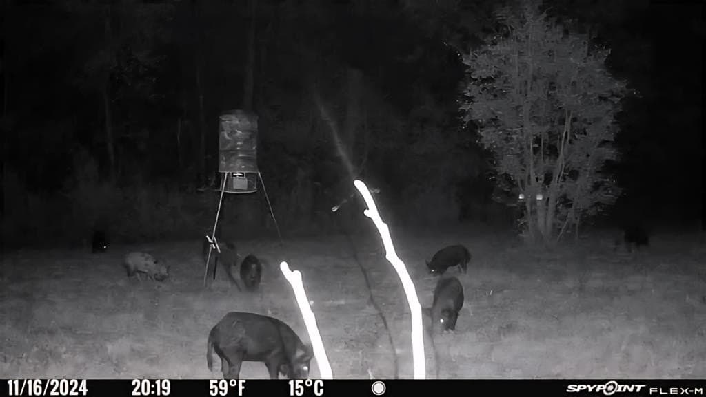 26 acres in Texas County - photo 44