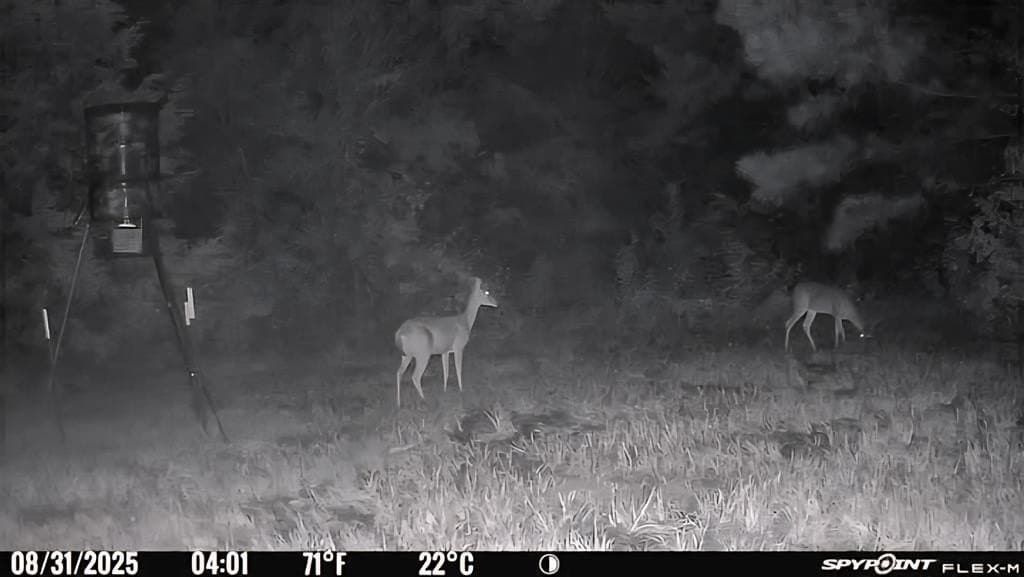26 acres in Texas County - photo 41