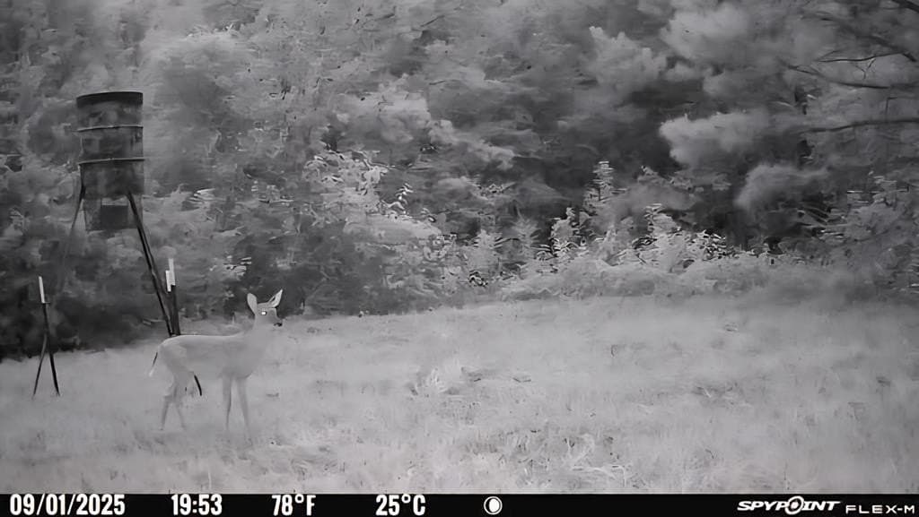 26 acres in Texas County - photo 38