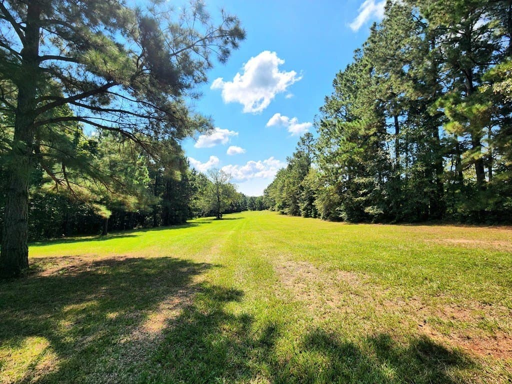 26 acres in Texas County - photo 23