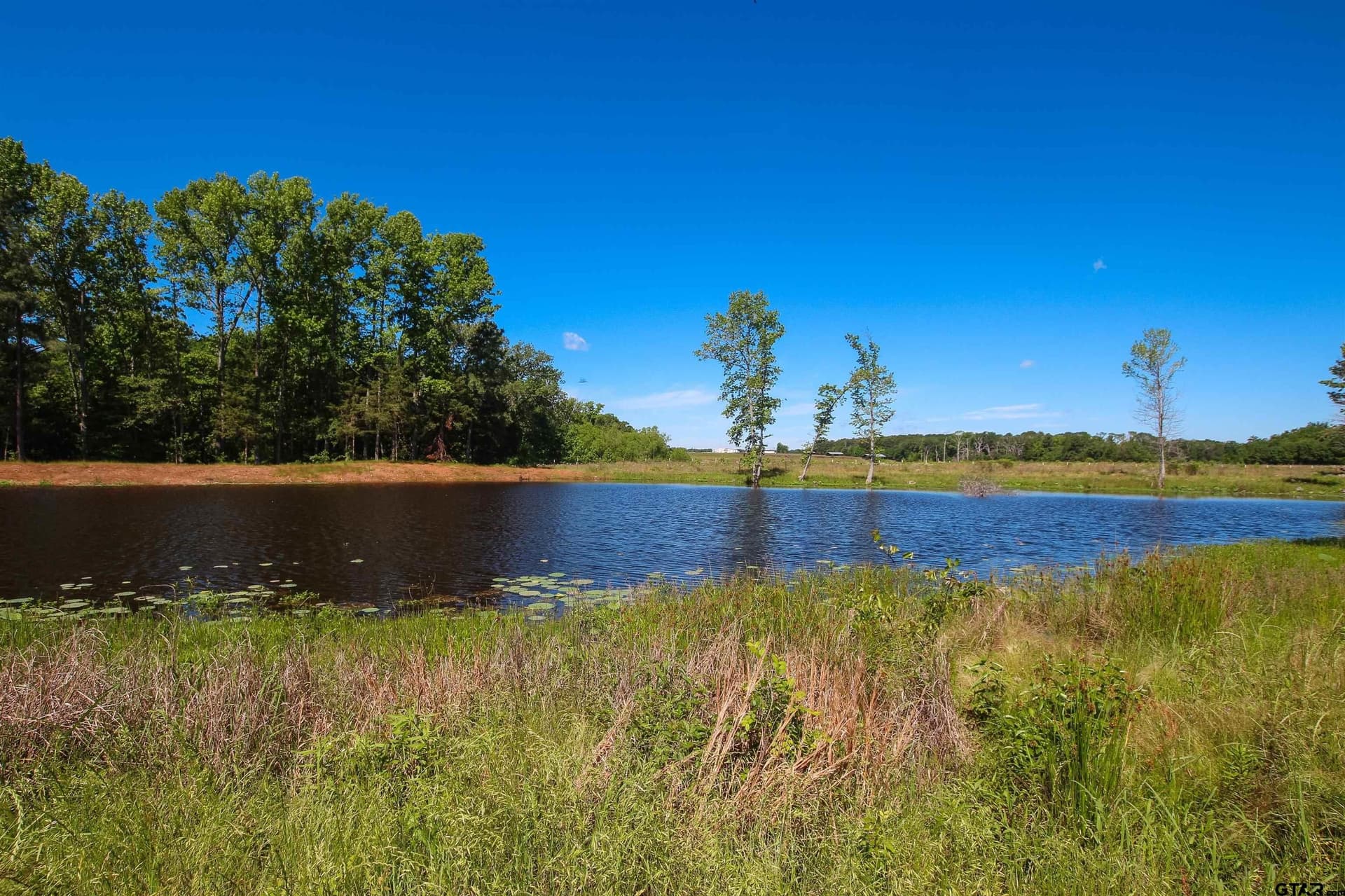 5.01 acres in Smith County - photo 4