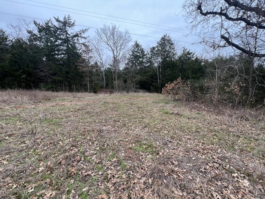 25.37 acres in ANDERSON County - photo 7