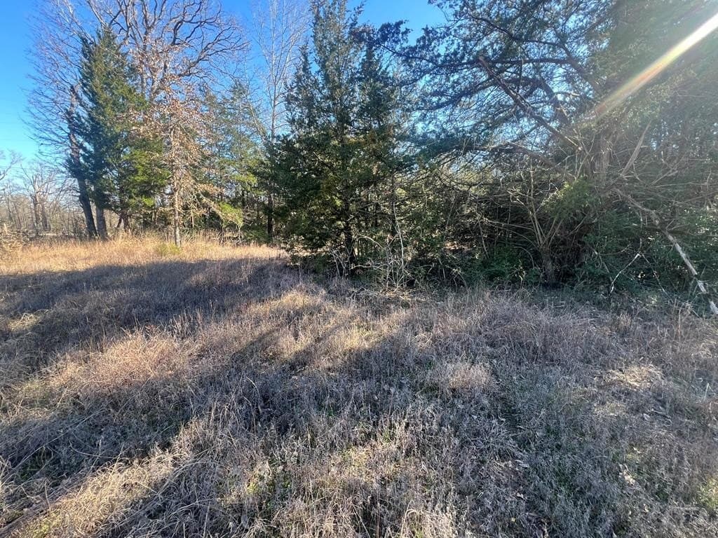 25.37 acres in ANDERSON County - photo 21