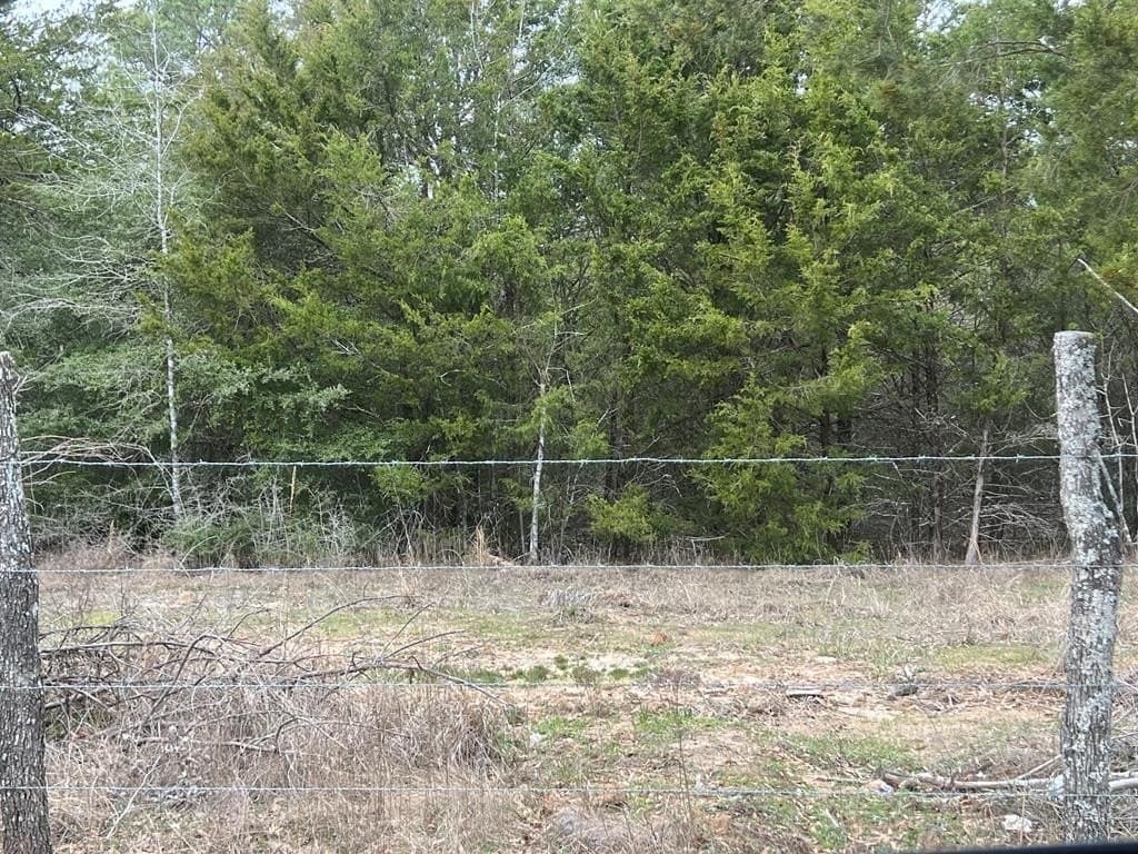 25.37 acres in ANDERSON County - photo 22
