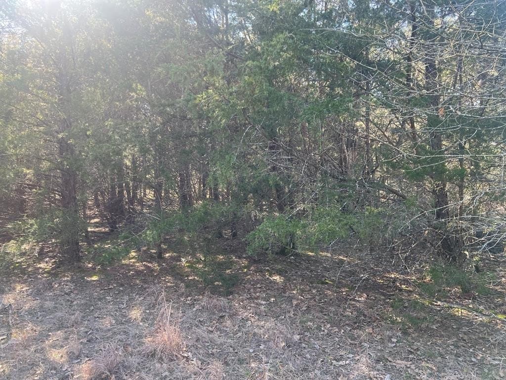 25.37 acres in ANDERSON County - photo 28
