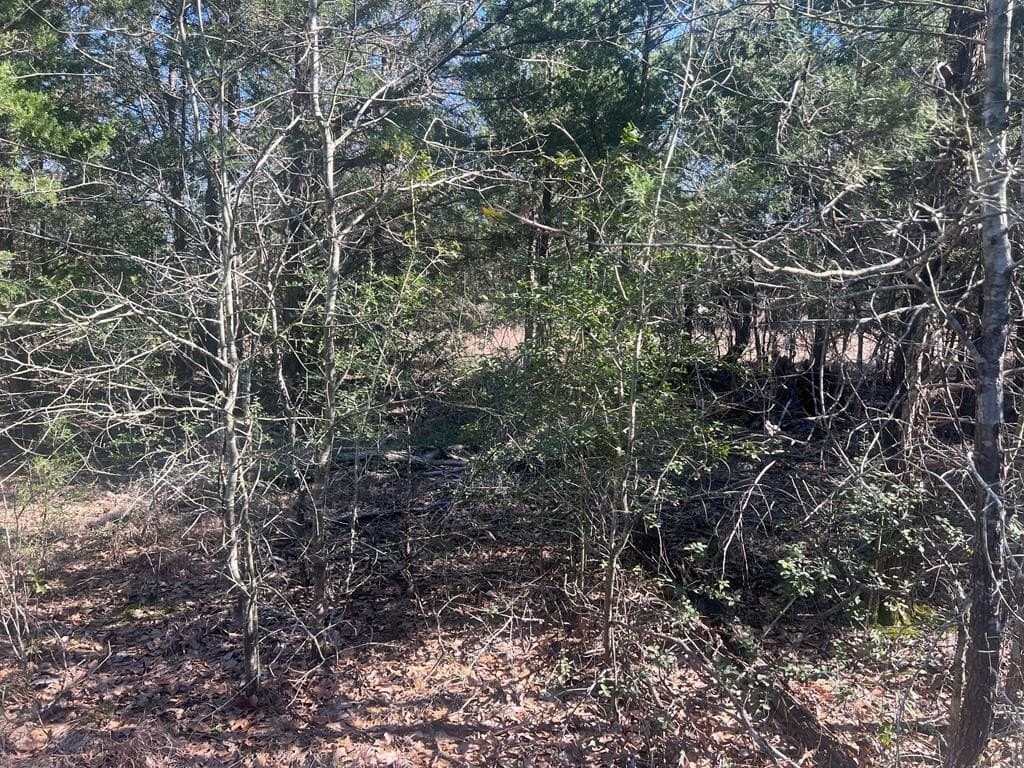 25.37 acres in ANDERSON County - photo 23