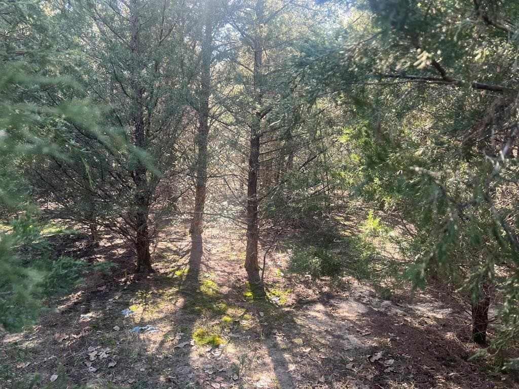 25.37 acres in ANDERSON County - photo 25