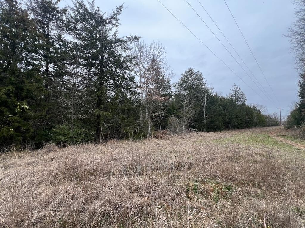 25.37 acres in ANDERSON County - photo 9