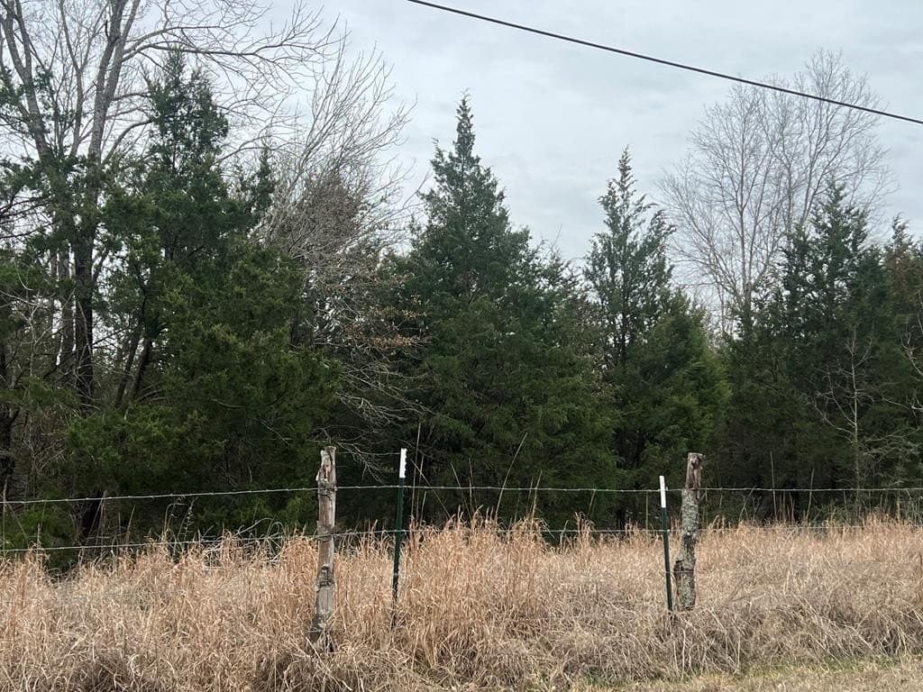 25.37 acres in ANDERSON County - photo 20
