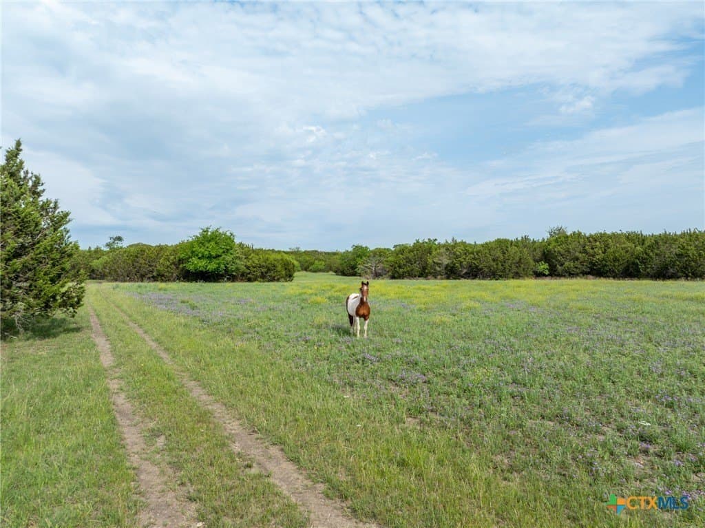 19.6 acres in Coryell County - photo 39