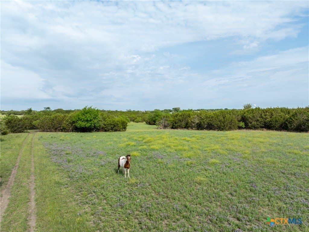 19.6 acres in Coryell County - photo 38