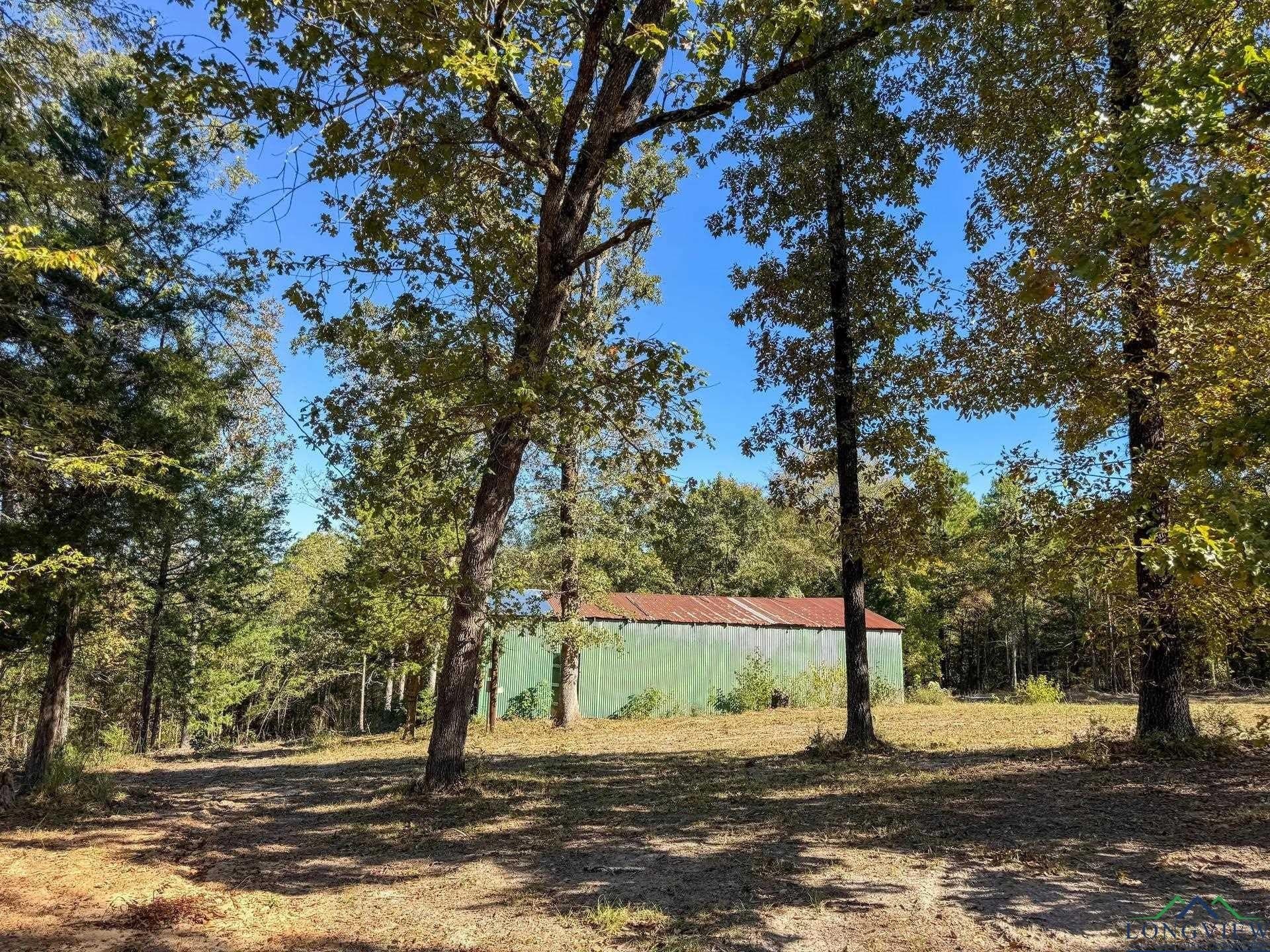 18.38 acres in Cass County - photo 44