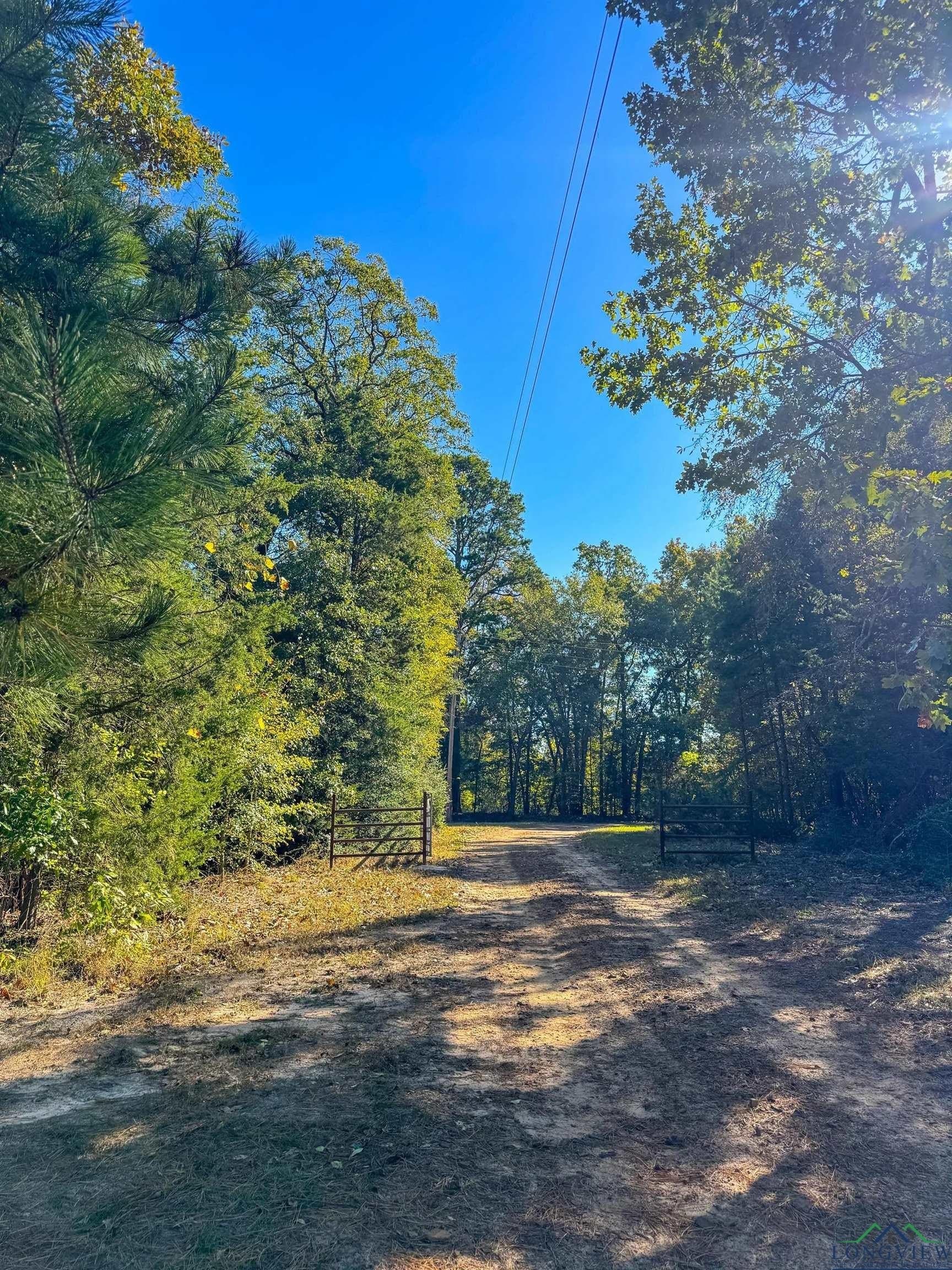 18.38 acres in Cass County - photo 49