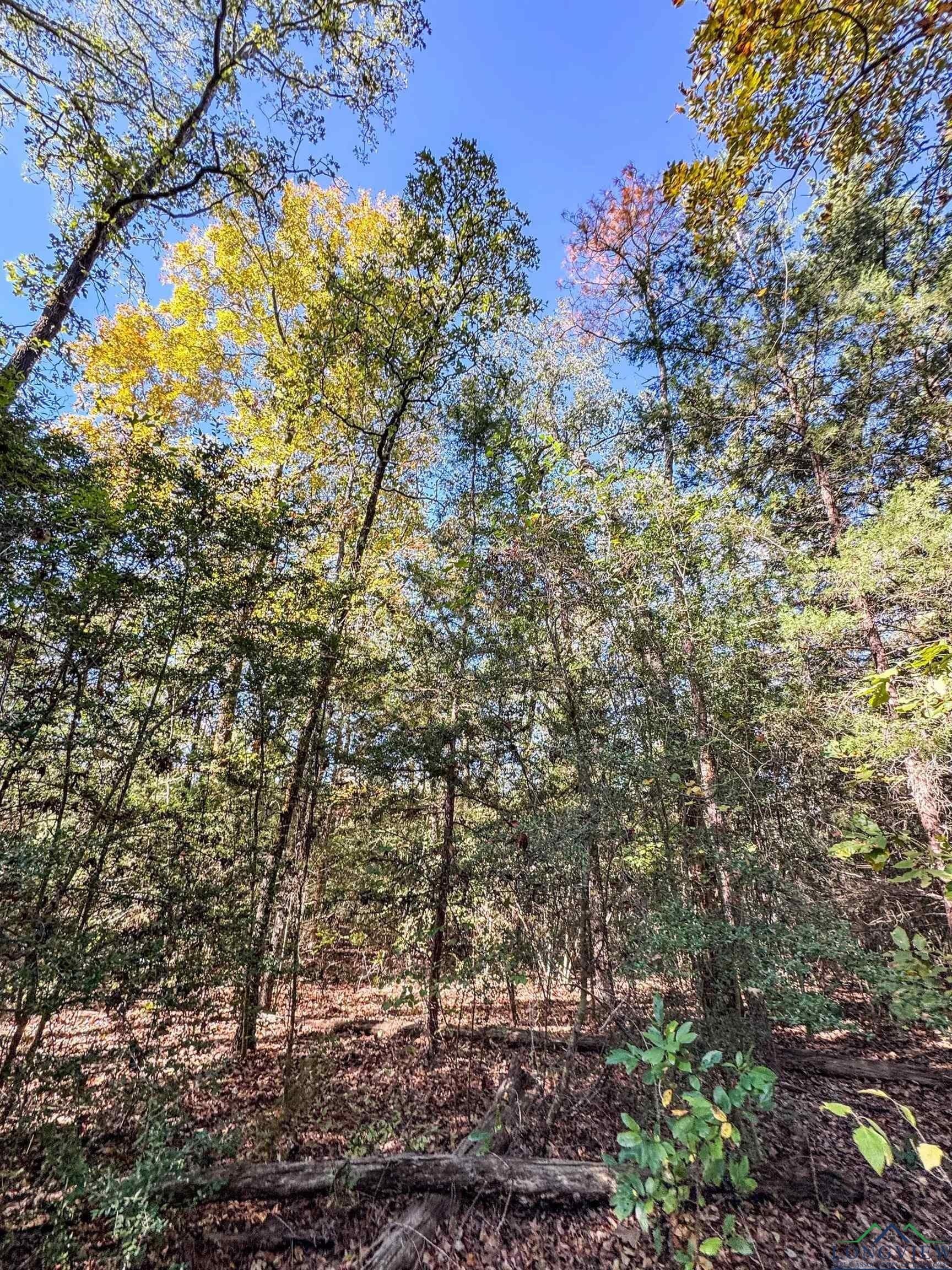 18.38 acres in Cass County - photo 47
