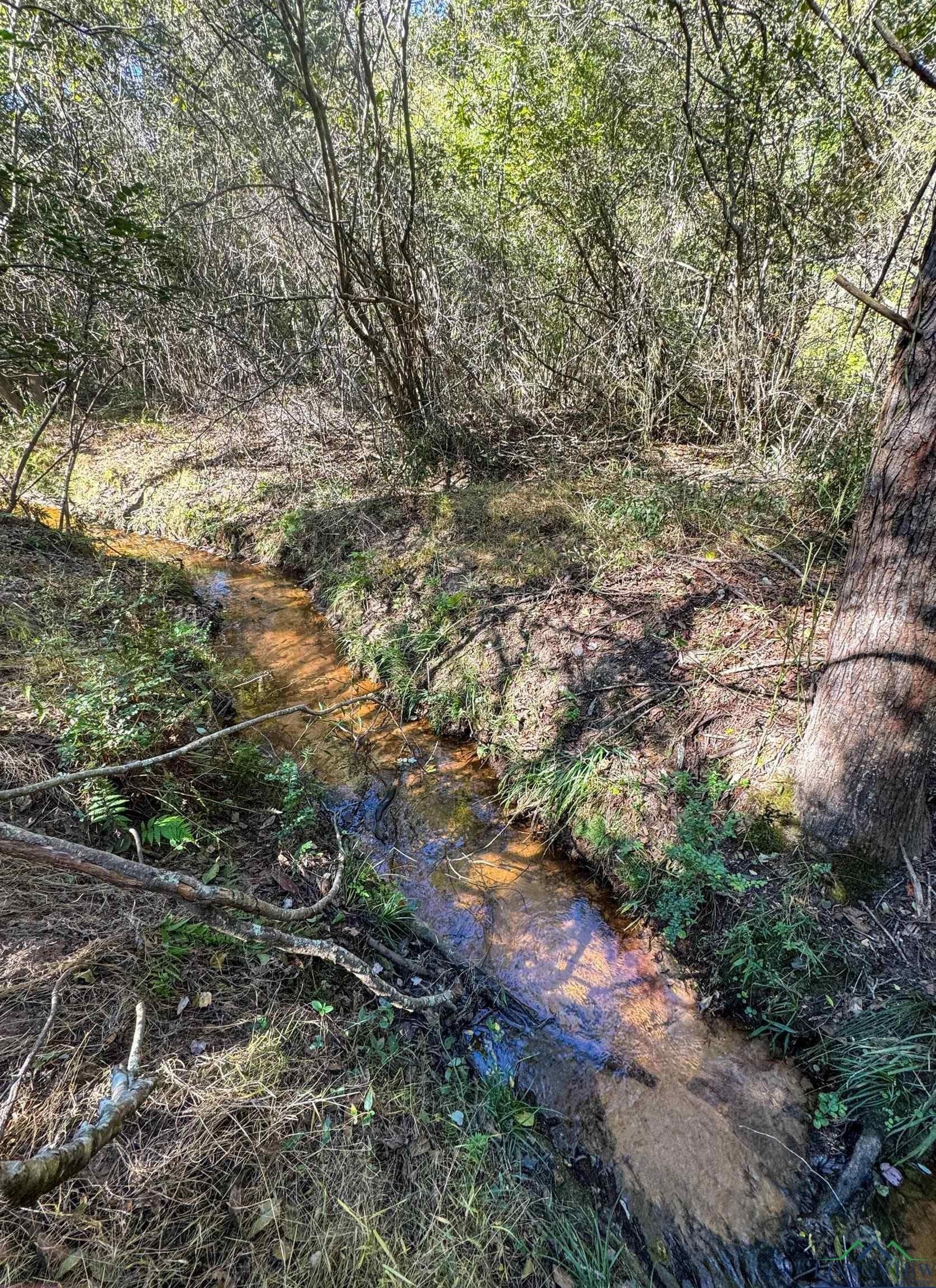 18.38 acres in Cass County - photo 50