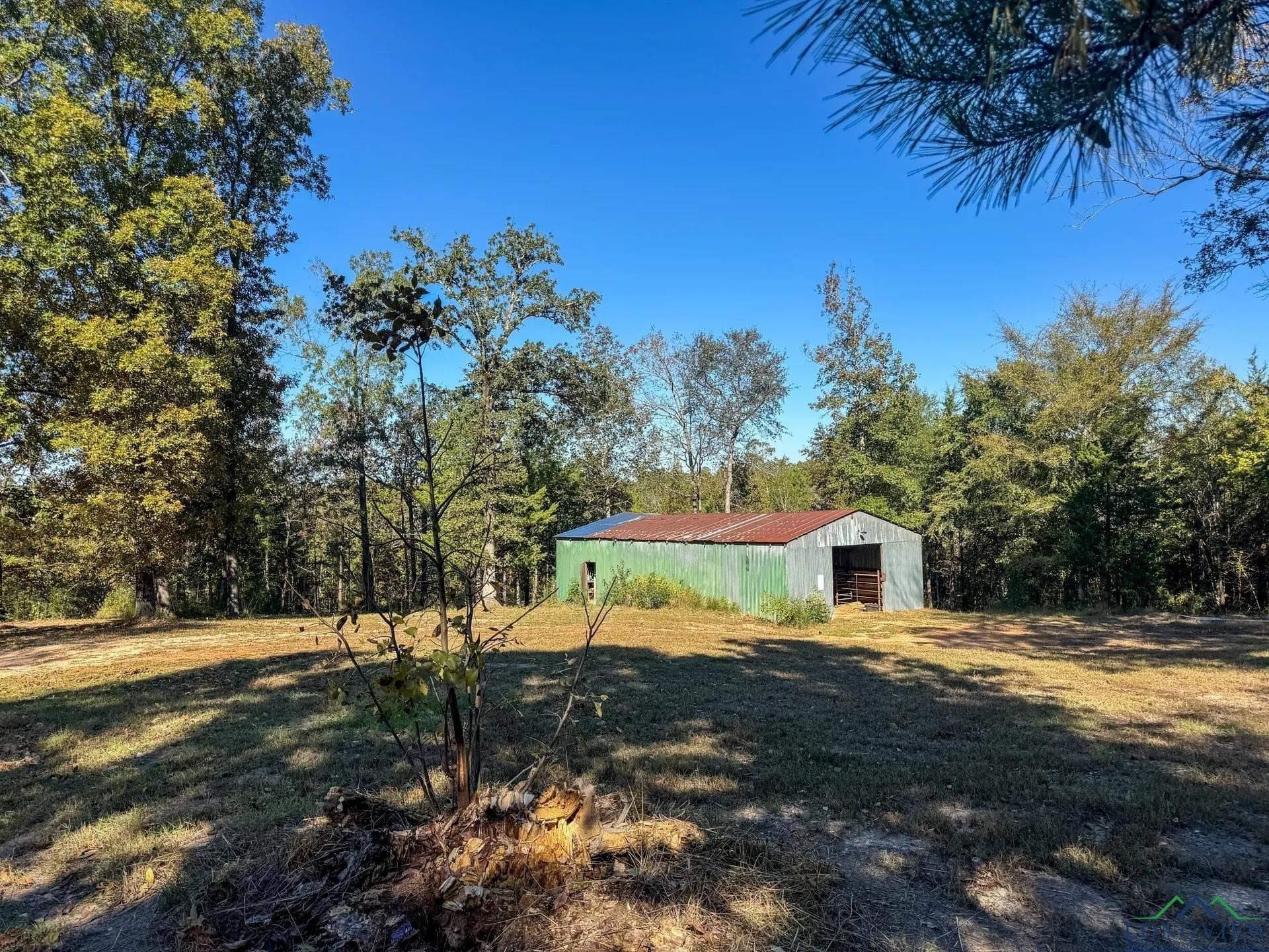 18.38 acres in Cass County - photo 43