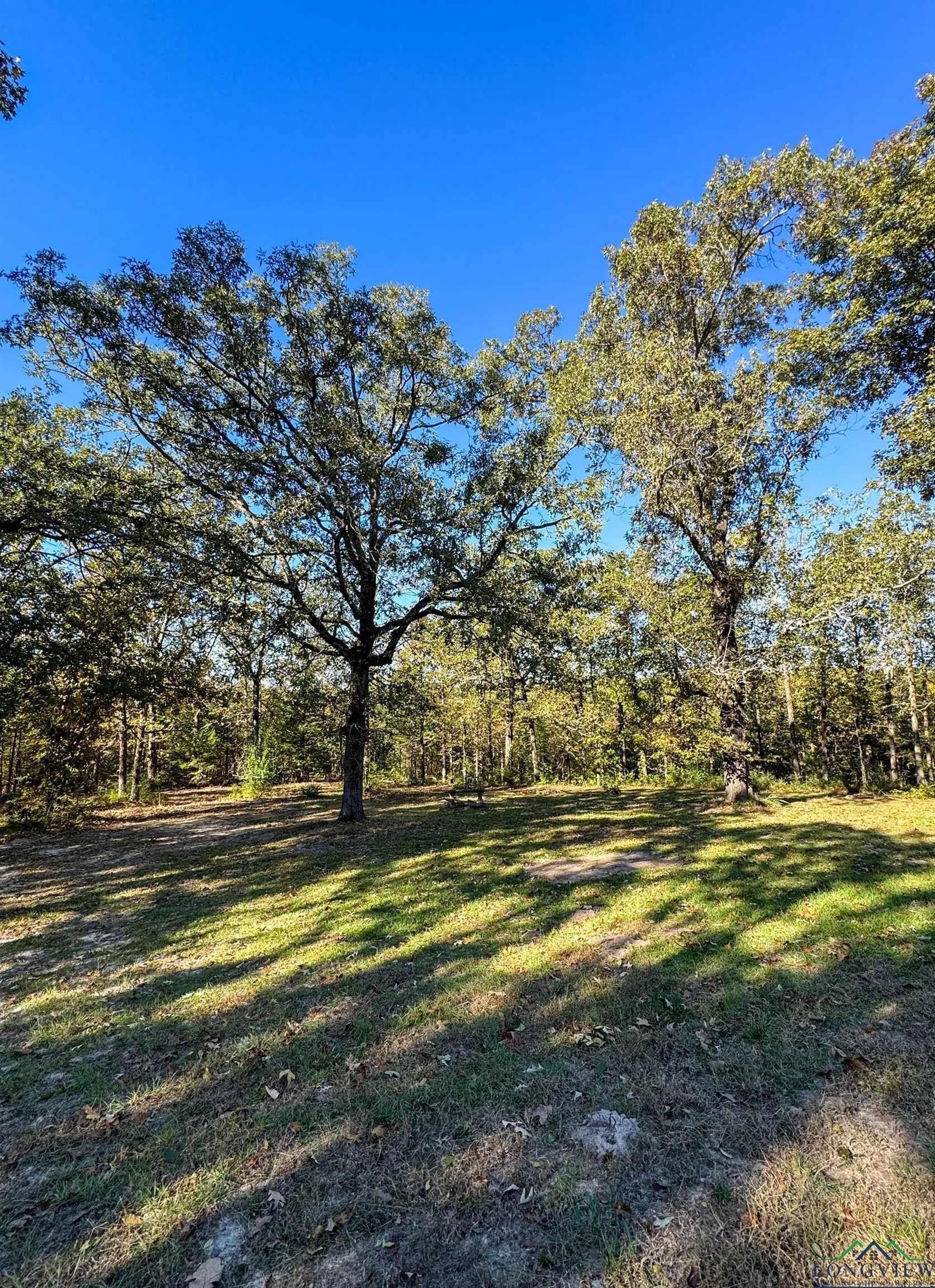 18.38 acres in Cass County - photo 42