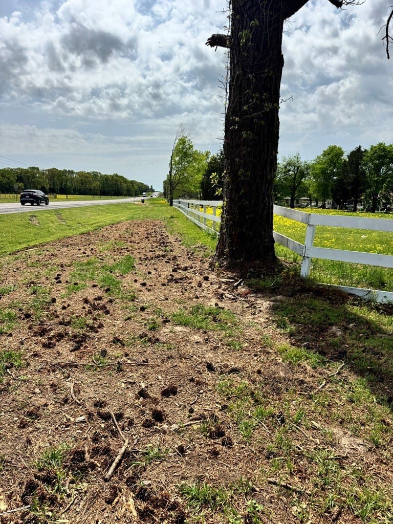 13.48 acres in Henderson County - photo 3
