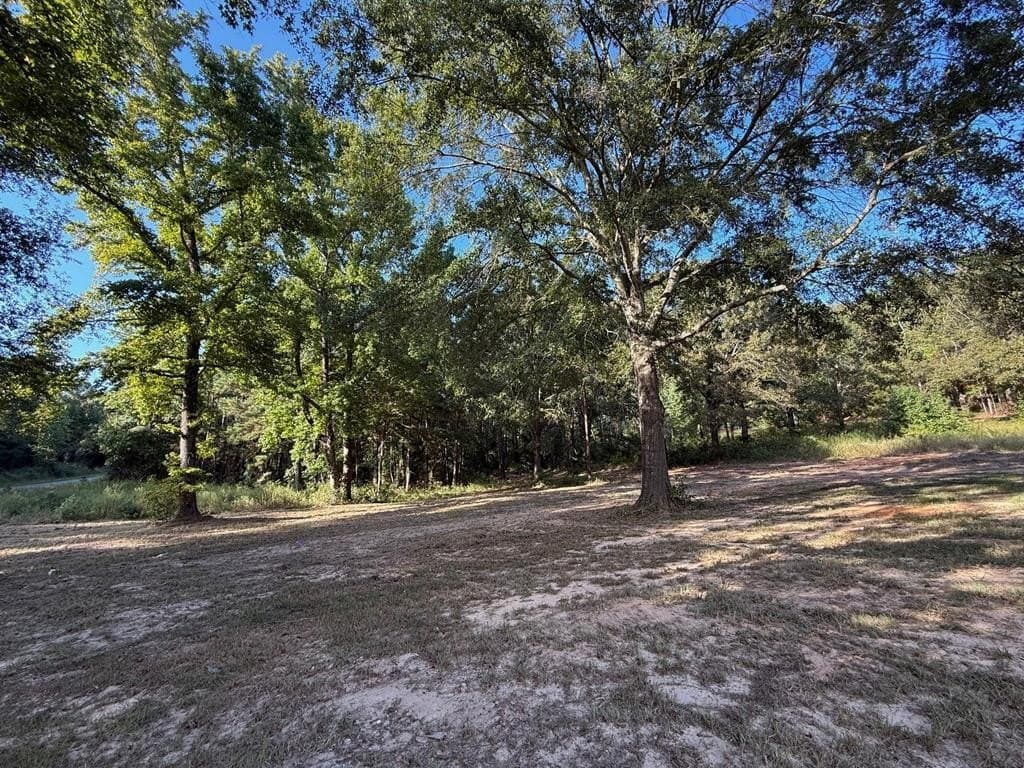 10 acres in ANDERSON County - photo 16