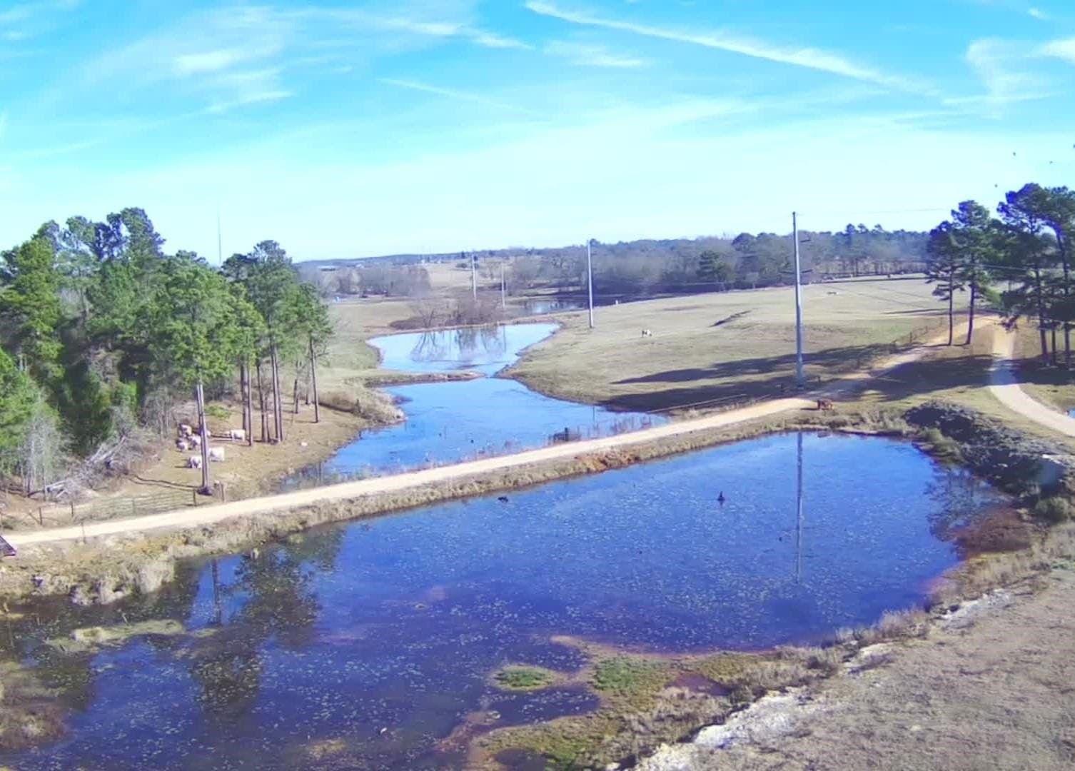 18.2 acres in Upshur County - photo 4