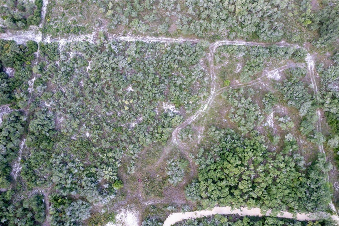 4.41 acres in San Patricio County - photo 2