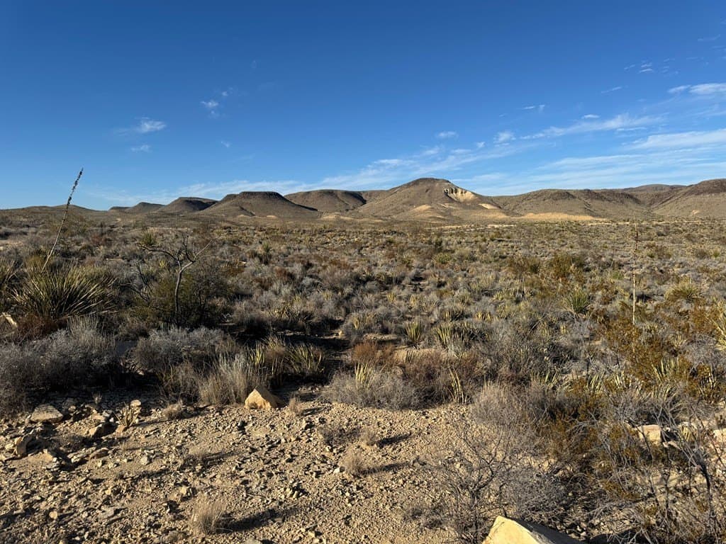 20 acres in Brewster County - photo 3