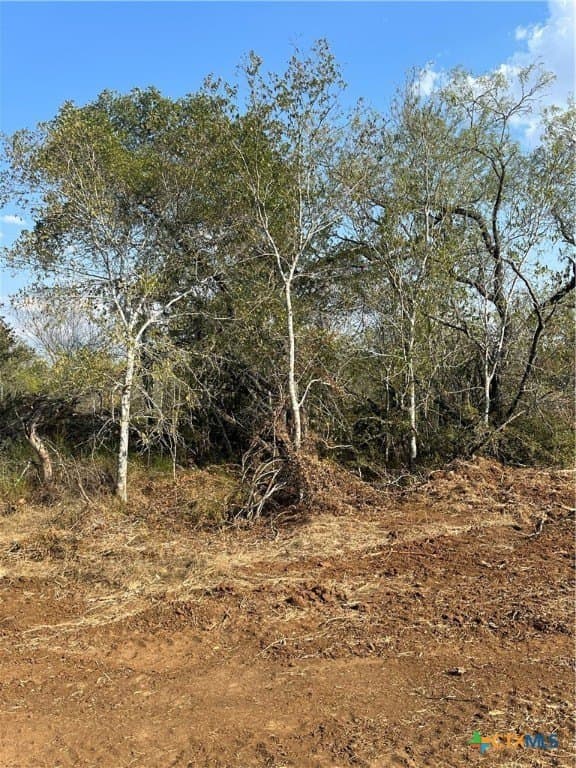 5.63 acres in Wilson County - photo 9