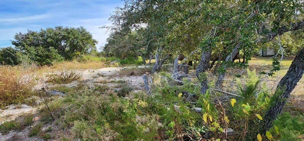 0 acres in Texas County - photo 4