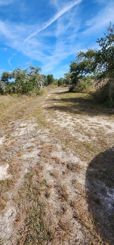 0 acres in Texas County - photo 3
