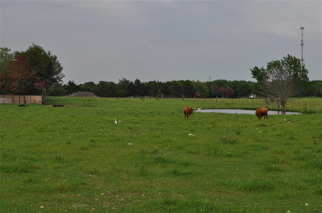 5 acres in Dallas County - photo 4