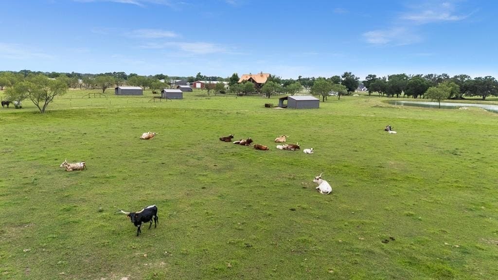 20.18 acres in Kaufman County - photo 8