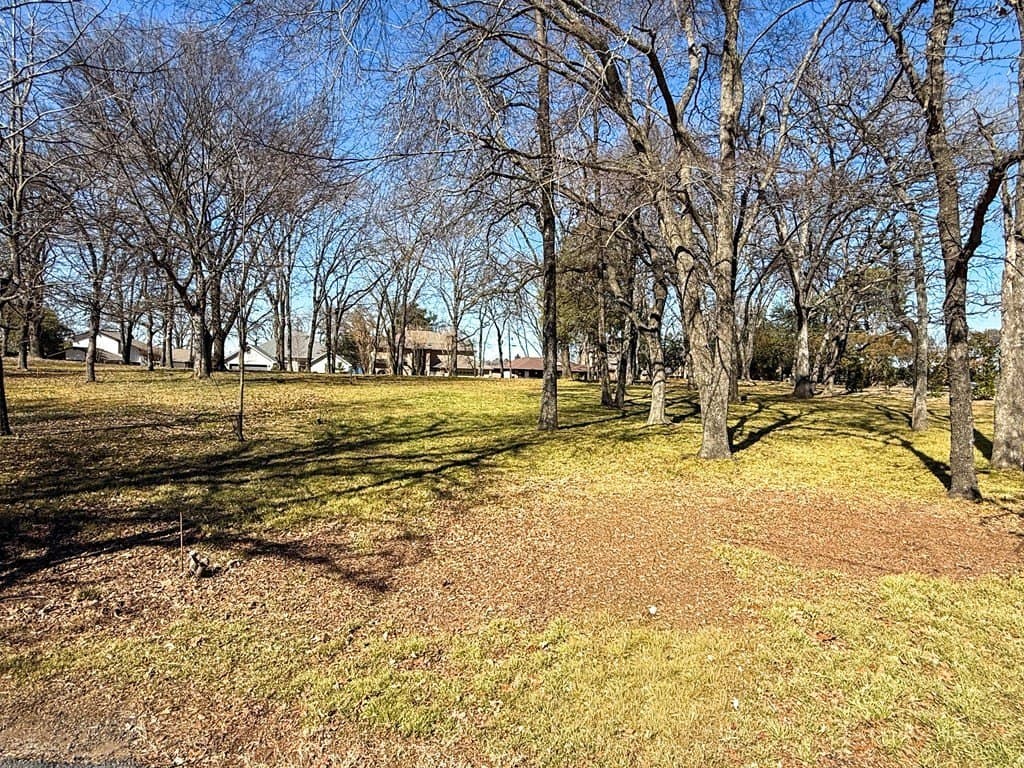 0.24 acres in Henderson County - photo 4