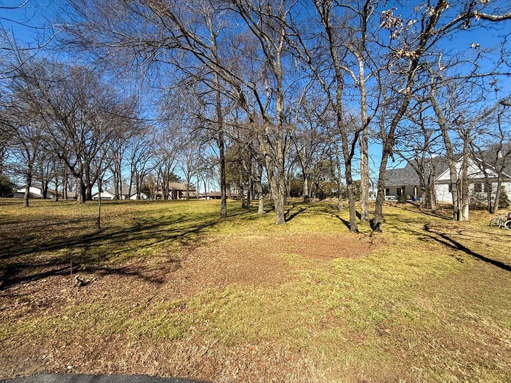 0.24 acres in Henderson County - photo 3
