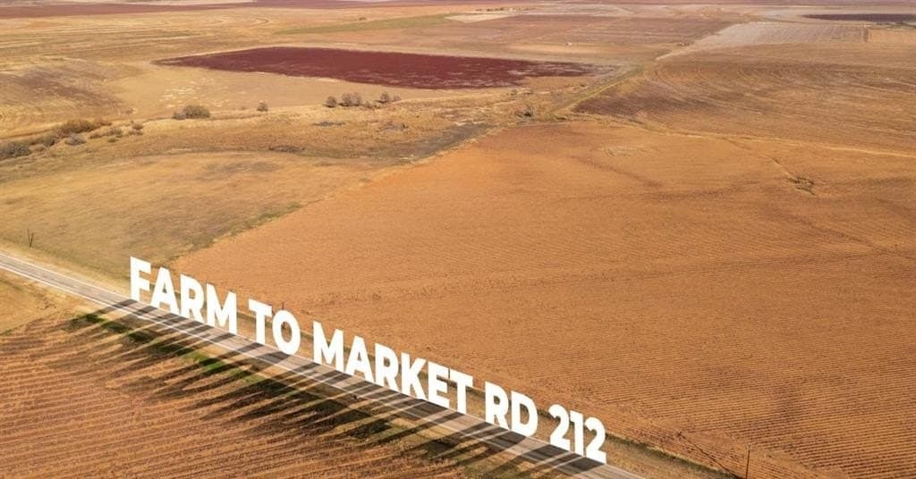 16 acres in Lynn County - photo 3