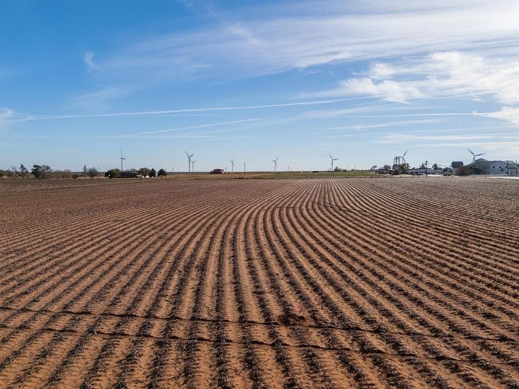 16 acres in Lynn County - photo 21