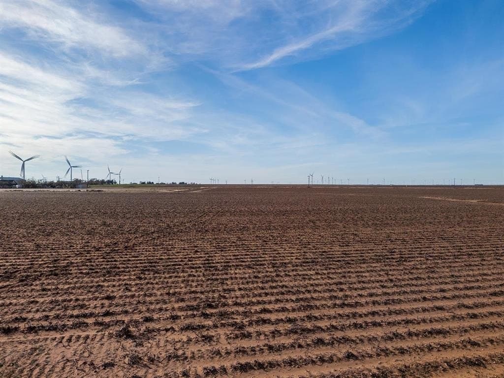 16 acres in Lynn County - photo 29